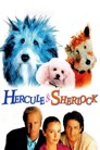 Herkül ile Sherlock