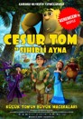 Cesur Tom ve Sihirli Ayna