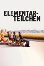 Temel Parçacıklar
