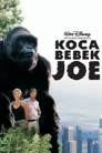 Koca Bebek Joe