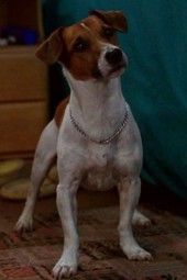 Max