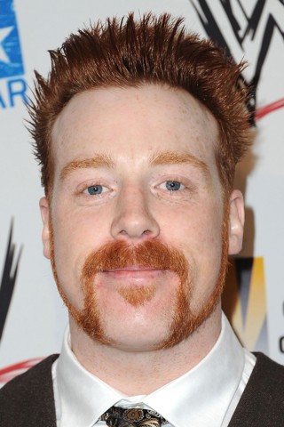 Stephen Farrelly